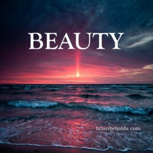 beauty universal theme, brian beholds