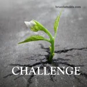 Challenge Theme, Brian Beholds