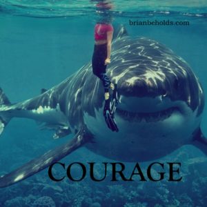 Courage Theme, Brian Beholds