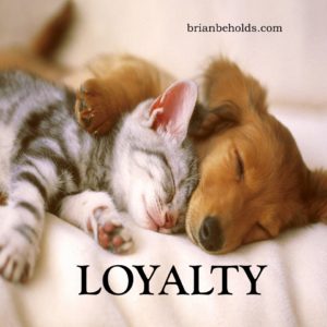 Loyalty Universal Theme, Brian Beholds