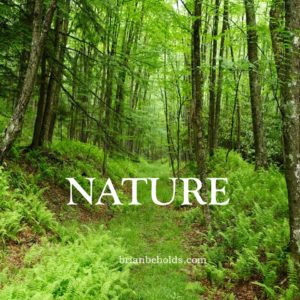 Nature Universal Theme, Brian Beholds