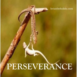 Perseverance Universal Theme, Brian Beholds