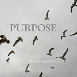 Purpose Universsal Theme, Brian Beholds