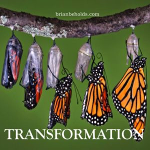 Transformation Universal Theme, Brian Beholds