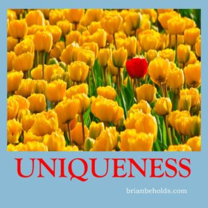 Uniqueness Universal Theme, Brian Beholds
