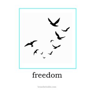 freedom theme icon showing a line drawing of a flock of birds