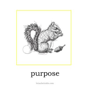 purpose theme icon with a line drawing of a squirrel